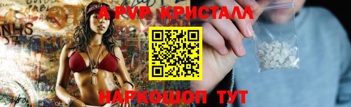Братск  Alpha PVP СК  Вход с VPN 