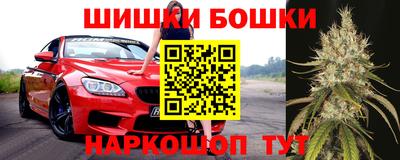spice Бийск