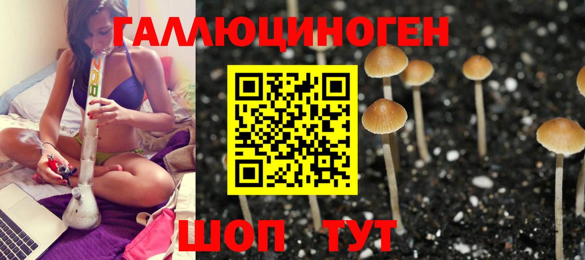 Псилоцибиновые грибы Cubensis Братск